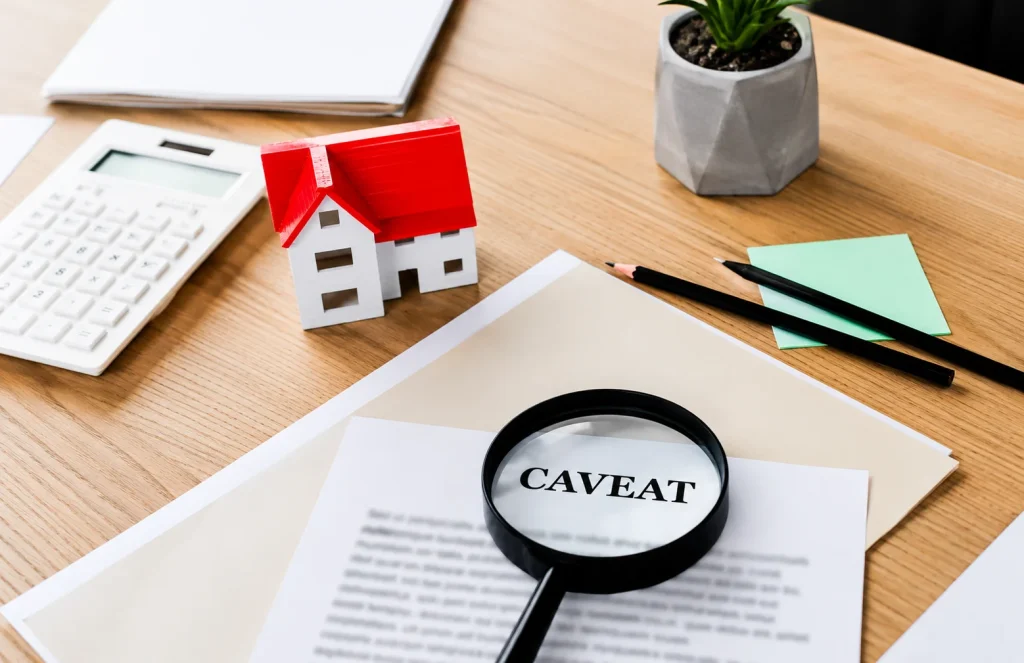 What Is a Caveat