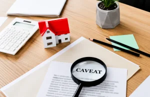 What Is a Caveat